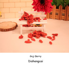 Bagas de goji secas orgânicas 100% originais da Mongólia Interior